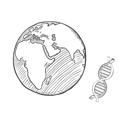 Sketch of a globe and a DNA strand, representing the interconnectedness of global genetic information.